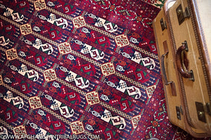Royal Bokhara Afghan Rug (Large) designed by Shotori Bagmal 